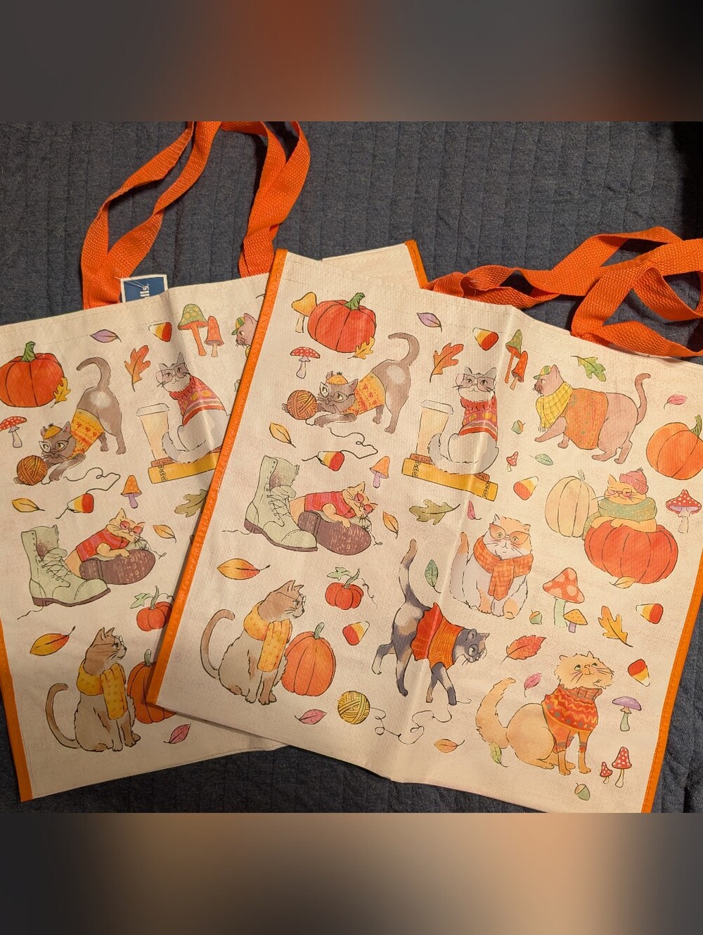 Fall Cat Print Reusable Tote Bags Marshalls TJ Maxx